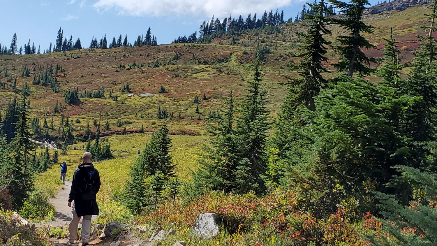 Mount Rainier NP 